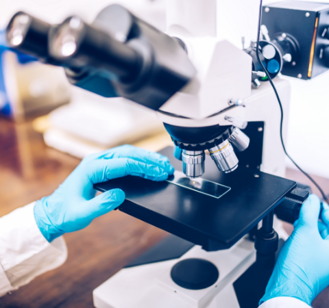 Policy Spotlight: How Trade Policy Impacts Pharmacy and the Tug-of-War of Drug Pricing